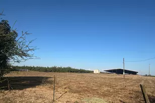 15942 N Jack Tone Rd, Lodi, CA 95240 - Photo 54