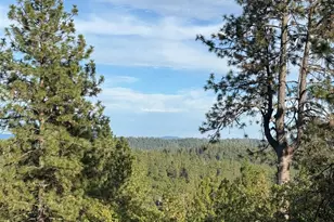 18060 Burgen Dr, Applegate, CA 95703 - Photo 8