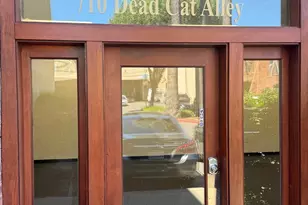 710 Dead Cat, Woodland, CA 95695 - Photo 2