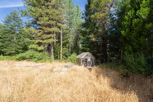 13 Bear Ct, North San Juan, CA 95960 - Photo 64