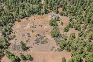 19484 Deerwood Dr, Volcano, CA 95689 - Photo 68