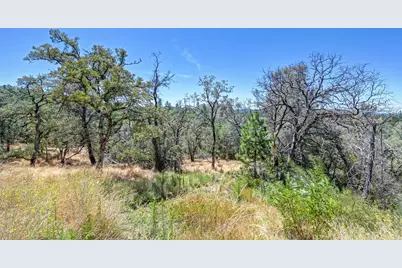 19040 Placer Hills Road, Meadow Vista, CA 95722 - Photo 28