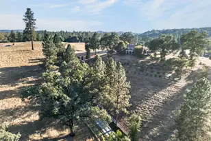 5900 Garden Valley Rd, Garden Valley, CA 95633 - Photo 48