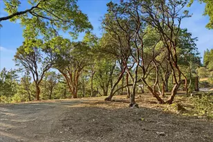 21417 Running Horse Rd, Nevada City, CA 95959 - Photo 2