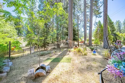 4375 Harness Tract Road, Camino, CA 95709 - Photo 40