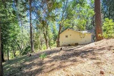 4375 Harness Tract Road, Camino, CA 95709 - Photo 74