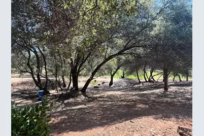 285 Smith Flat Road, Angels Camp, CA 95222 - Photo 36