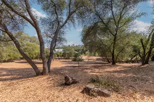 285 Smith Flat Rd, Angels Camp, CA 95222 - Photo 1