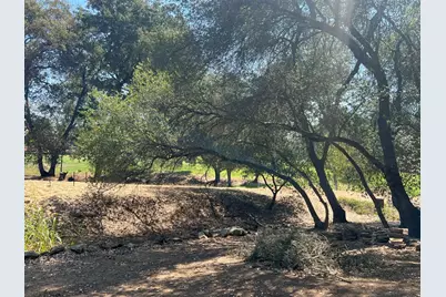 285 Smith Flat Road, Angels Camp, CA 95222 - Photo 38