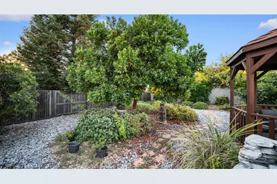 3931 Aplicella Court, Manteca, CA 95337 - Photo 48