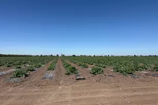 2110 Drais Rd, Linden, CA 95215 - Photo 1