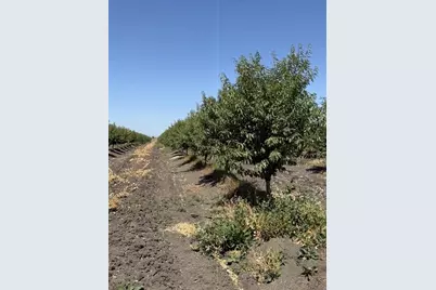 0 W Clarksburg Road, Clarksburg, CA 95612 - Photo 10