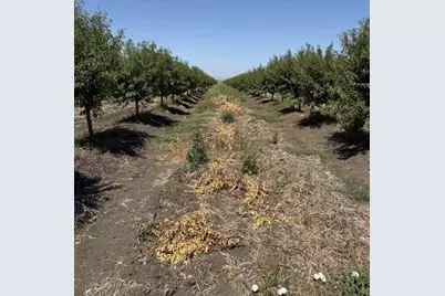 0 W Clarksburg Road, Clarksburg, CA 95612 - Photo 6