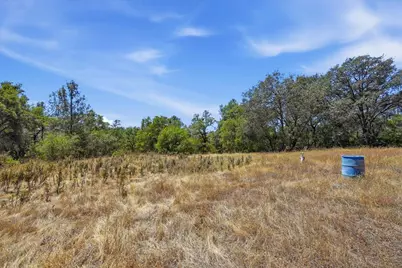12877 Danzer Place, Grass Valley, CA 95949 - Photo 14