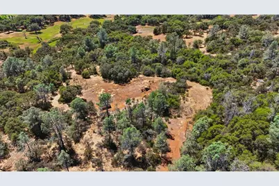 12877 Danzer Place, Grass Valley, CA 95949 - Photo 4