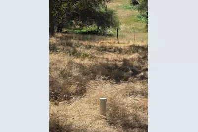 12877 Danzer Place, Grass Valley, CA 95949 - Photo 42