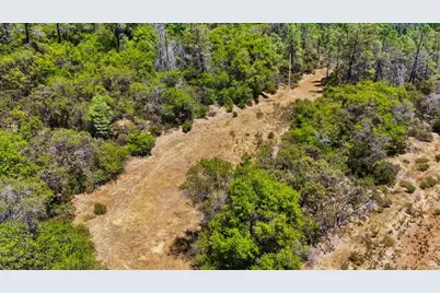 12877 Danzer Place, Grass Valley, CA 95949 - Photo 10