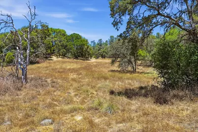 12877 Danzer Place, Grass Valley, CA 95949 - Photo 24