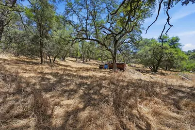 12877 Danzer Place, Grass Valley, CA 95949 - Photo 30
