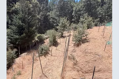 20363 Grizzly Creek Road, Nevada City, CA 95959 - Photo 4