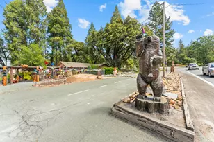 22671 State Hwy 88, Pioneer, CA 95666 - Photo 50
