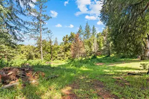 22671 State Hwy 88, Pioneer, CA 95666 - Photo 42