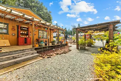 22671 State Highway 88, Pioneer, CA 95666 - Photo 28