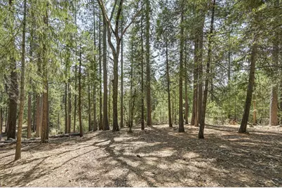 7470 Lion Alley #3, Georgetown, CA 95634 - Photo 44
