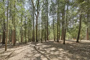 7470 Lion Alley, Georgetown, CA 95634 - Photo 44