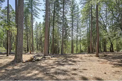 7470 Lion Alley #3, Georgetown, CA 95634 - Photo 58