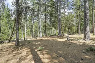 7470 Lion Alley, Georgetown, CA 95634 - Photo 52