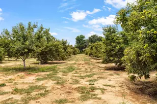 1213 Larkin Rd, Gridley, CA 95948 - Photo 34