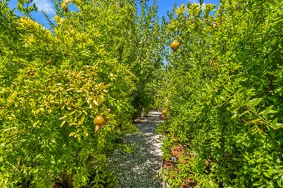 1721 Olive Heights Court, Folsom, CA 95630 - Photo 82