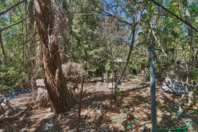 7520 Lohse Way, Citrus Heights, CA 95610 - Photo 12