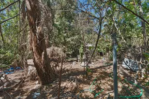 7520 Lohse Way, Citrus Heights, CA 95610 - Photo 12