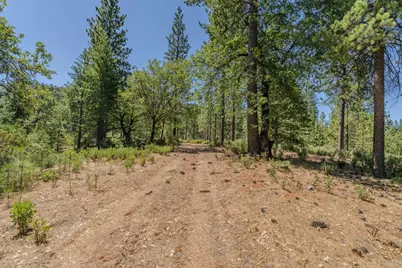 15736 Armstrong Road, Sheep Ranch, CA 95246 - Photo 82