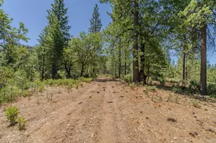 15736 Armstrong Rd, Sheep Ranch, CA 95246 - Photo 82