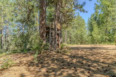 15736 Armstrong Road, Sheep Ranch, CA 95246 - Photo 66