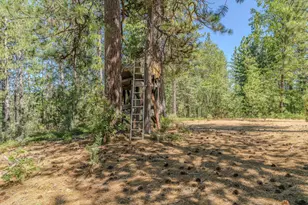 15736 Armstrong Rd, Sheep Ranch, CA 95246 - Photo 66