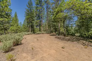 15736 Armstrong Rd, Sheep Ranch, CA 95246 - Photo 84