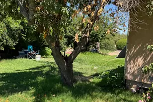 303 Plainsburg Rd, Planada, CA 95365 - Photo 42