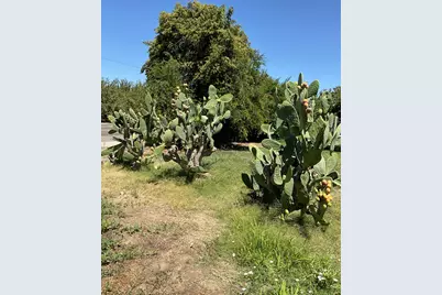 303 Plainsburg Road, Planada, CA 95365 - Photo 46