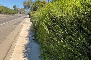 303 Plainsburg Rd, Planada, CA 95365 - Photo 8