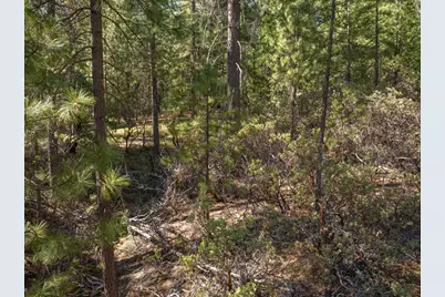 3003 Black Bear Drive, Arnold, CA 95223 - Photo 20