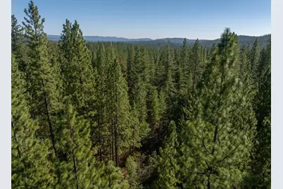 3003 Black Bear Drive, Arnold, CA 95223 - Photo 4