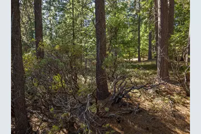 3003 Black Bear Drive, Arnold, CA 95223 - Photo 18