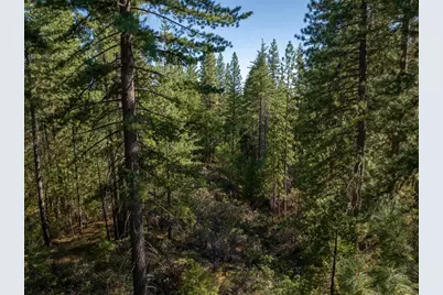 3003 Black Bear Drive, Arnold, CA 95223 - Photo 10