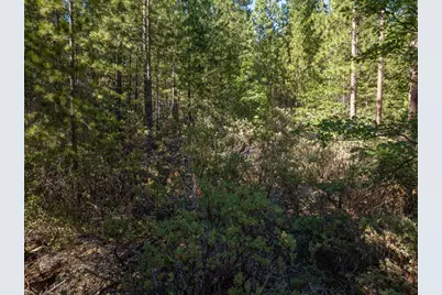 3003 Black Bear Drive, Arnold, CA 95223 - Photo 14