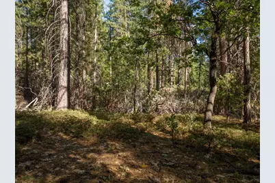3003 Black Bear Drive, Arnold, CA 95223 - Photo 12