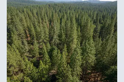 3003 Black Bear Drive, Arnold, CA 95223 - Photo 16